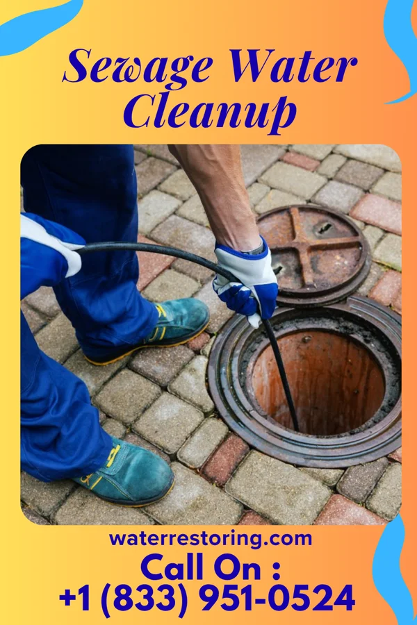 Sewage Water Cleanup in Melbourne, AR